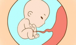 孕期同房视频,视频解析与注意事项